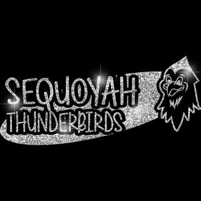 GLT100 SILVER GLITTER Thumbnail